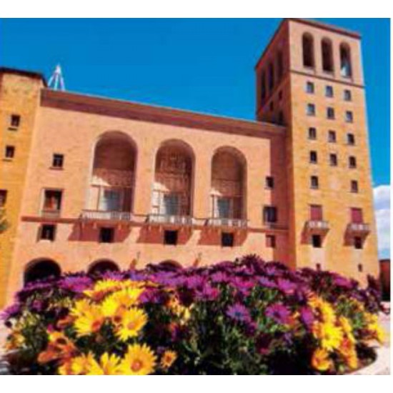 CARDONA & MONTSERRAT - FULL DAY WITH BRUNCH: MEDIEVAL CASTLE, SALT MINES & MONASTERY