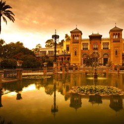 Sevilla tour by train AVE (Full day)
