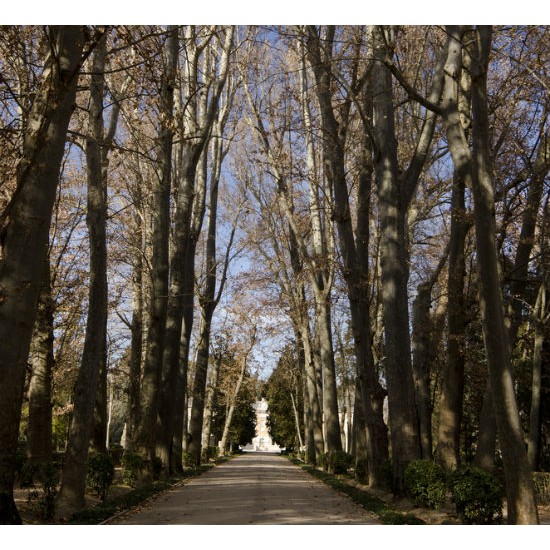 aranjuez + chinchon tour (full day - 8 hours)