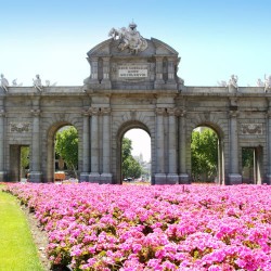 Madrid Private SIGHTSEEING tour