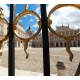 aranjuez + chinchon tour (full day - 8 hours)