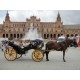 PANORAMIC TOUR BY HORSE-DRAWN CARRIAGE
